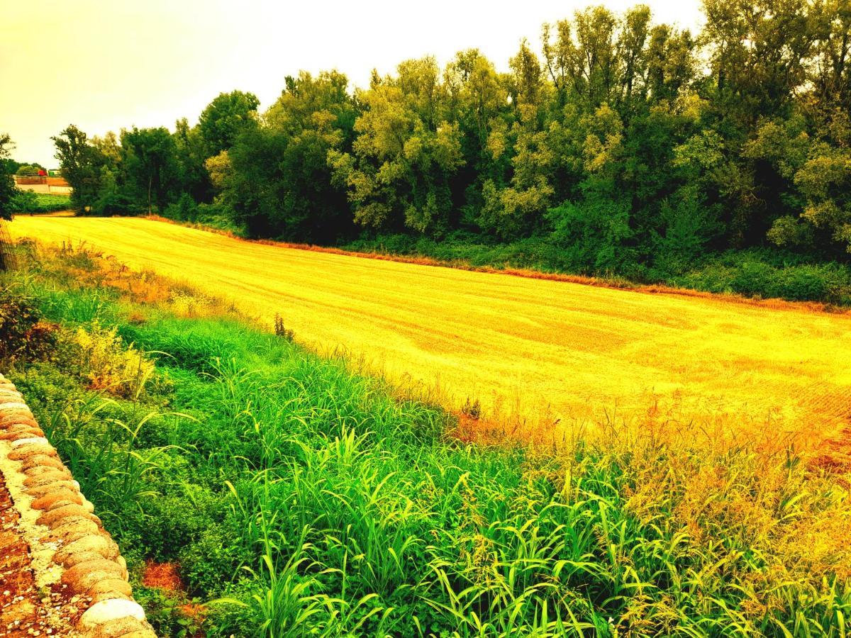 Zanina Country House Пескиера дел Гарда Екстериор снимка
